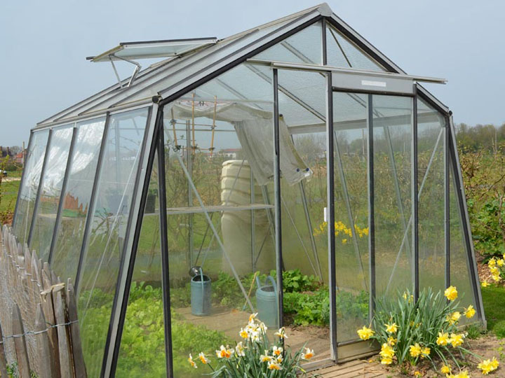 ACD Glas Gewaechshaus mit mit Schraegdach im Fruehling