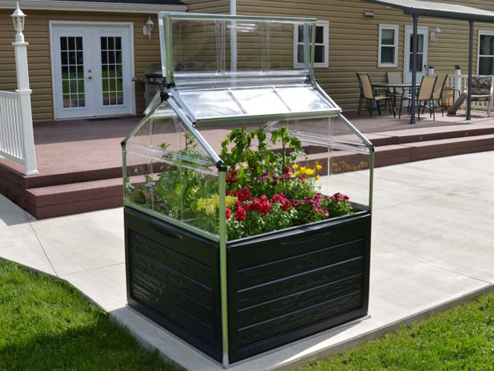 Palram Hochbeet und Anzuchtbeet Plantino mit Pflanzen