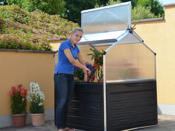 Palram Hochbeet und Anzuchtbeet Bepflanzung