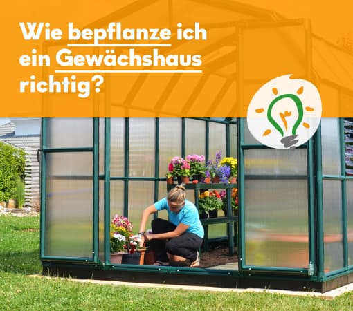 ratgeber-gewaechshaus-bepflanzen