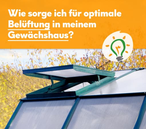 Belüftung
