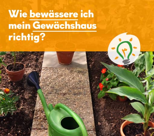 Bewässerung
