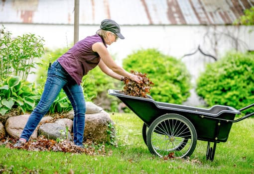 Garten & Freizeit Ratgeber