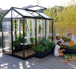 Gewächshaus aus Glas oder Kunststoff? mygardenhome