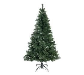 Weihnachtsbäume