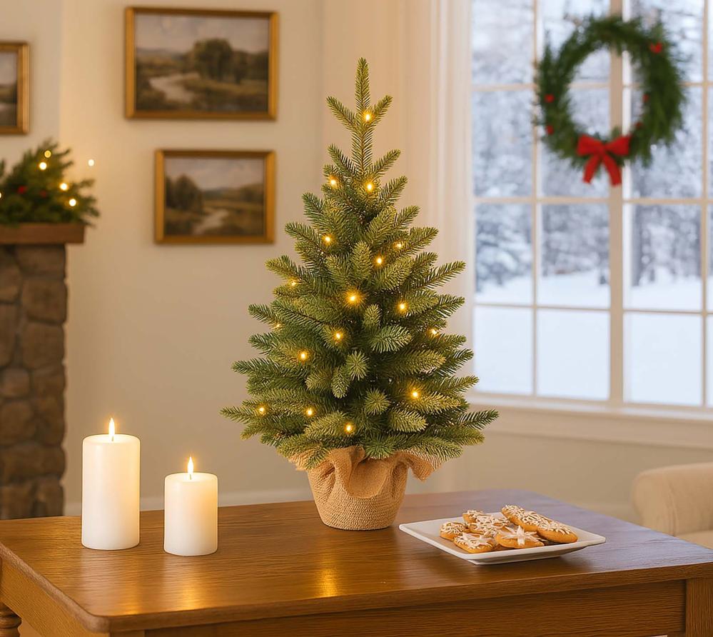 B-WARE Evergreen Aspen S+ | mini Weihnachtsbaum mit Beleuchtung