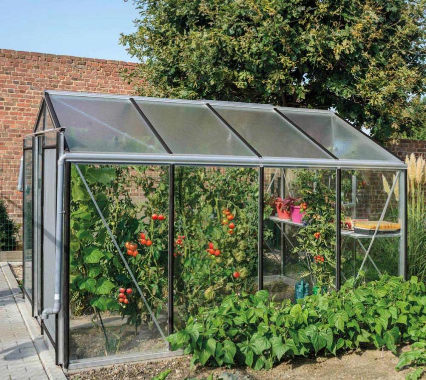 ACD Glas Gewächshaus R204H | Schwarz | 298x232x235 cm 