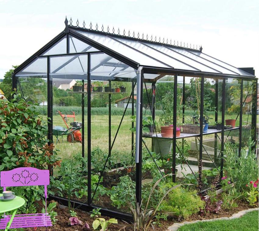 ACD Glas Gewächshaus R205H | Schwarz | 371x232x235 cm 