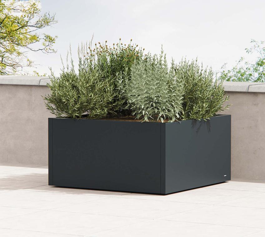 Herstera Garden Cube Low L | flacher Outdoor Pflanzkasten | quadratisch | 100x50x100 cm 