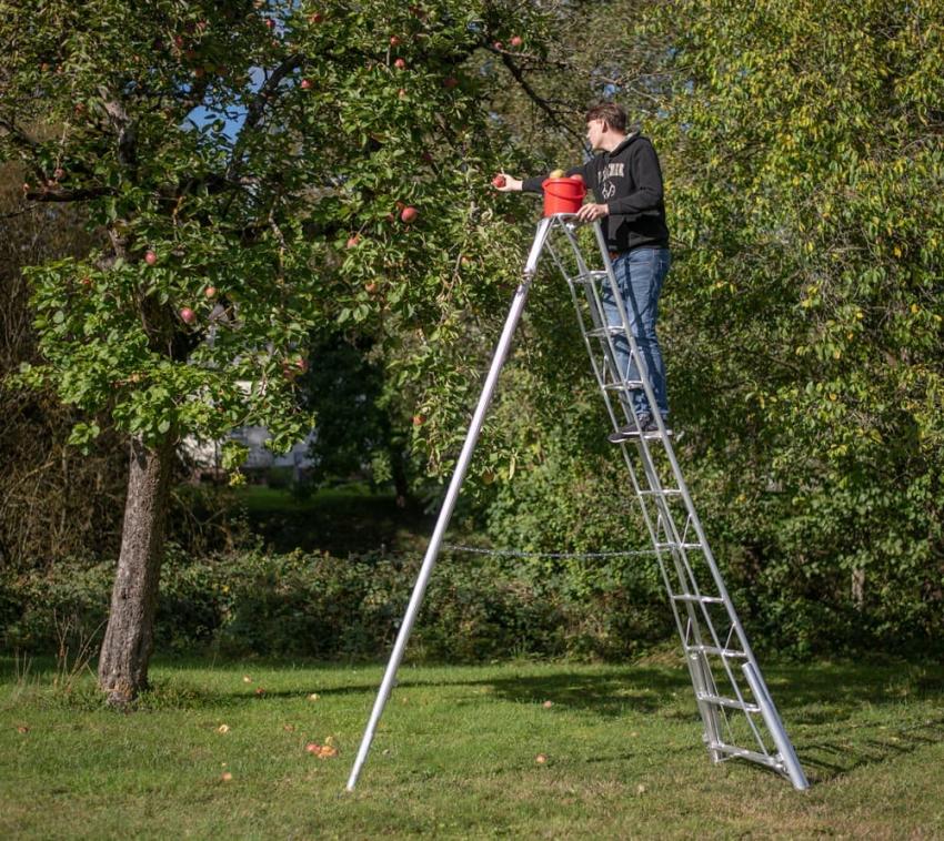 Niwaki Aluminium 3-Holm-Gartenleiter höhenverstellbar | Silber | 268x140x361 cm 