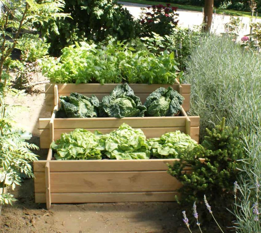 Westmann Holz Hochbeet Karla | Natur | 119x99x52 cm 