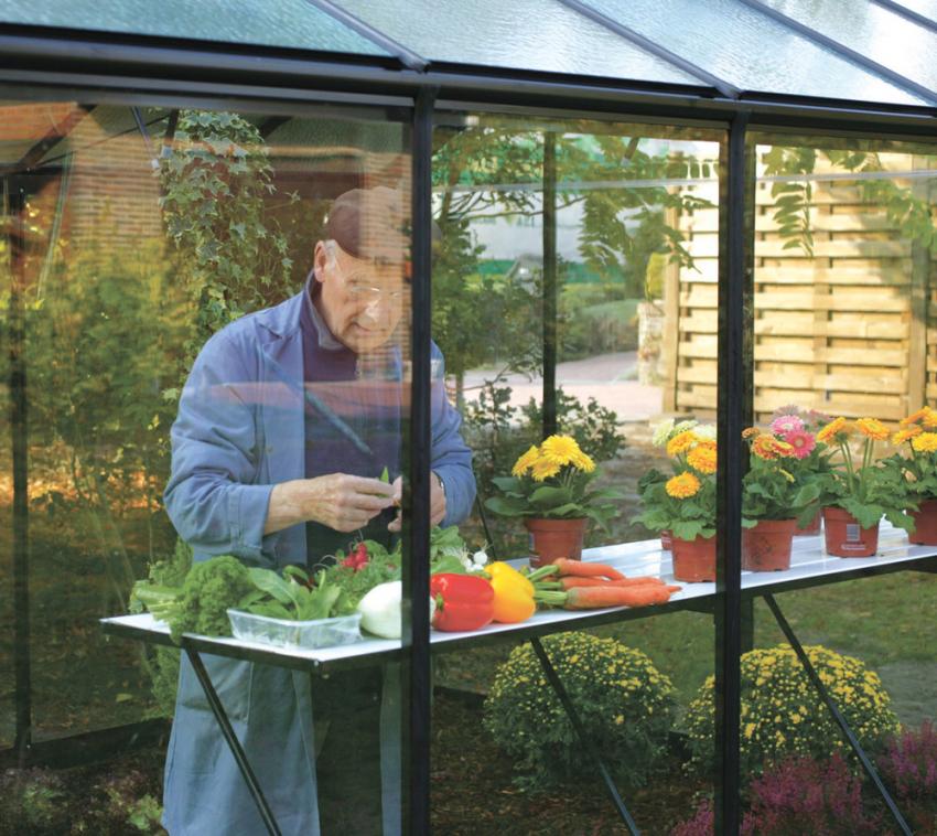 Gewächshaus Regal 225cm groß für ACD Gewächshäuser Silber