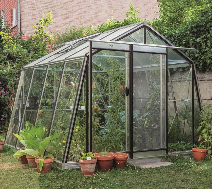 ACD Glas Gewächshaus S106H | Schwarz | 445x306 cm 