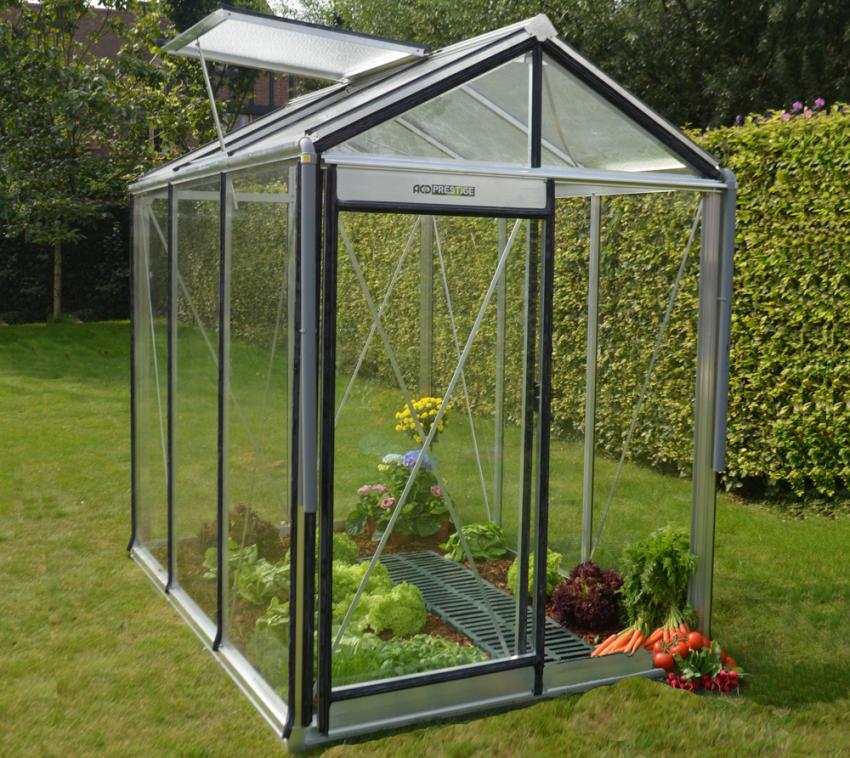 ACD Glas Gewächshaus Piccolo P03 | Silber | 224x159x221 cm 