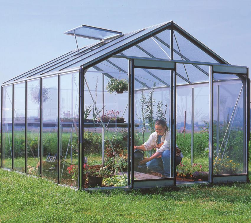 ACD Aluminium Glas Gewächshaus R305H-B RAL 371x306 