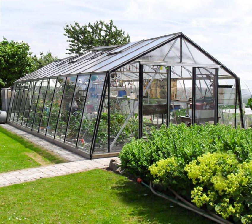 ACD Aluminium Glas Gewächshaus S305H silber 371x453 cm mygardenhome