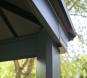 morepic-9