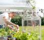 morepic-11