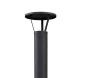 morepic-11