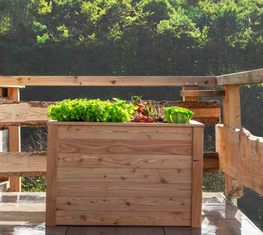 B-WARE Westmann Lärchenholz Hochbeet Klassik 100 | Natur | 100x65x66 cm 