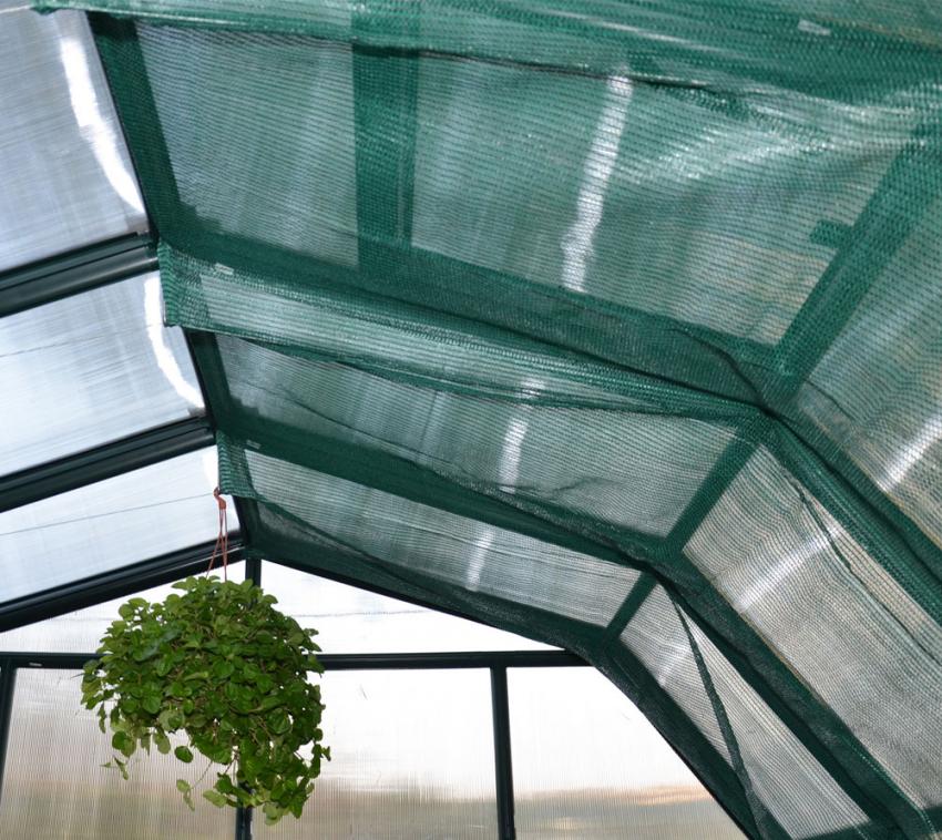 Rion passend für jedes Rion Gewächshaus mygardenhome