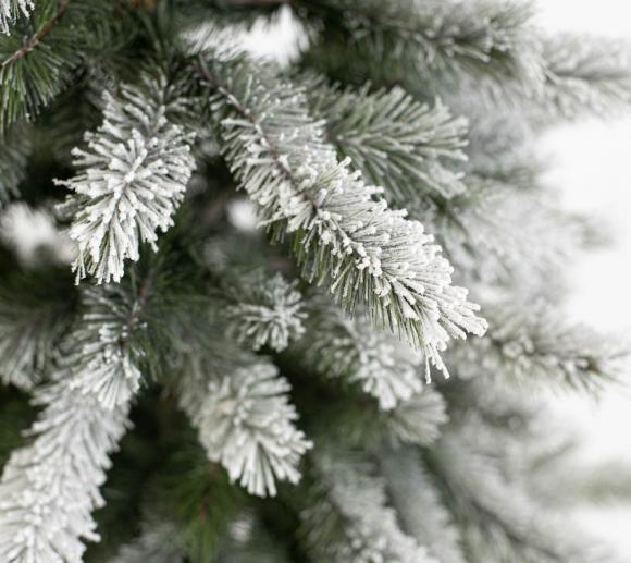 Evergreen Weihnachtsbaum Cedar Frost Kiefer Kunstlicher Tannenbaum Schnee 210 Cm Mygardenhome