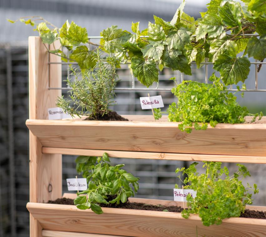 33+ Kräuterregal Garten, Habau hochbeet hanna mit ablage, inklusive