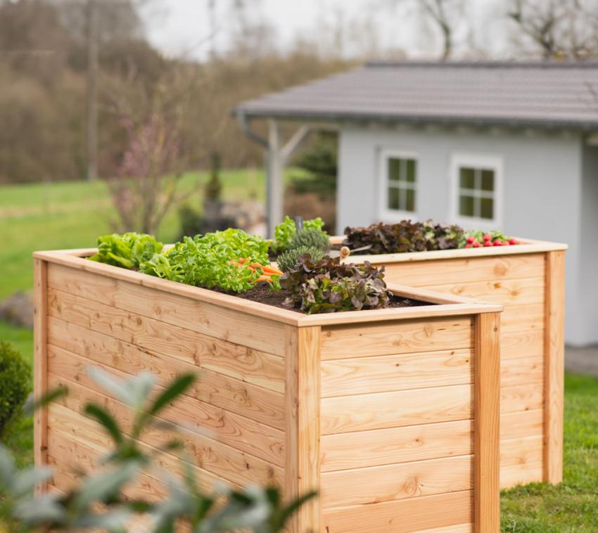 WESTMANN Hochbeet Aus Lärchenholz - 66x66x73 Cm Kräuterbeet Für Garten & Balkon