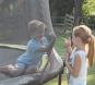 morepic-3