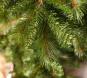 morepic-6