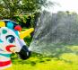morepic-6