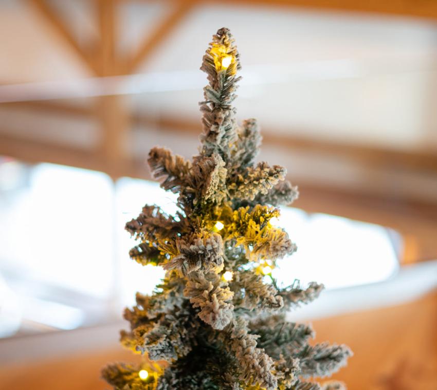 Evergreen Künstlicher Weihnachtsbaum Kunstschnee LED Grün/Weiß
