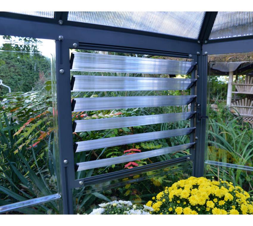 Palram - Canopia Aluminium Gewächshaus Oasis | Anthrazit | 363x316x289 ...