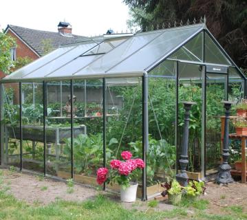 ACD Glas Gewächshaus R305H-B RAL | 371x306x259 cm 