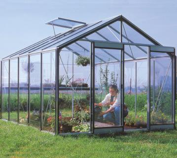 ACD Glas Gewächshaus R305H | Schwarz | 371x306x259 cm 