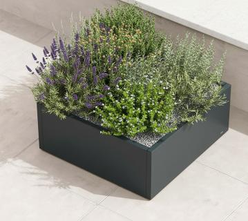 B-WARE Herstera Garden Cube Low L | flacher Outdoor Pflanzkasten | 100x100x50 cm 