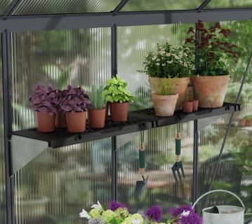 Palram - Canopia Gewächshaus Regal Signature | 2er Set | Anthrazit | 65x27 cm 