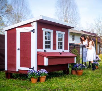 EZ Chicken Hühnerhaus L | Holz Hühnerstall begehbar | 9 Hühner 