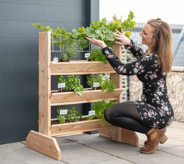 Westmann Lärchenholz Kräuterregal mit Rankgitter Viktoria L | Natur | 50x80x95 cm 
