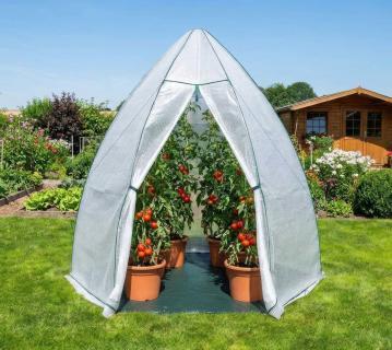 Westmann Überwinterungszelt & Foliengewächshaus Avocado | Weiß | 250x250x250 cm Komplettset