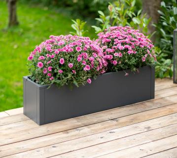 Westmann Metall Pflanzkübel Talus M | Pflanzkübel rechteckig | Anthrazit | 100x25x27cm 