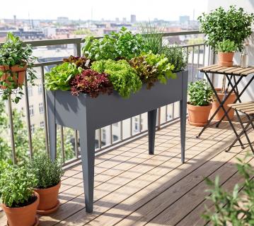 Westmann Vedura L | Metall Balkon Hochbeet | Anthrazit 