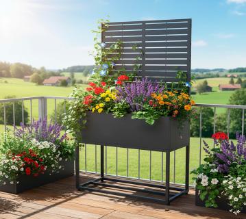 B-WARE Westmann Dekora 4 | Metall Pflanzkasten mit Rankgitter und Rollen 