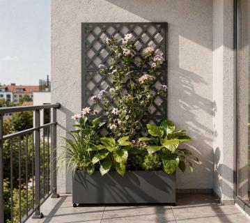 Westmann Dekora 7 | Metall Pflanzkasten mit Rankgitter | Anthrazit 