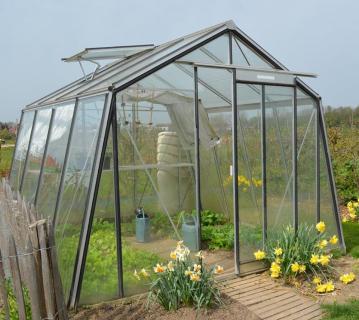 ACD Glas Gewächshaus S104H-B RAL | 298x306x233 cm 