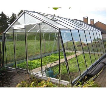 ACD Glas Gewächshaus S208H | Schwarz | 593x380 cm 