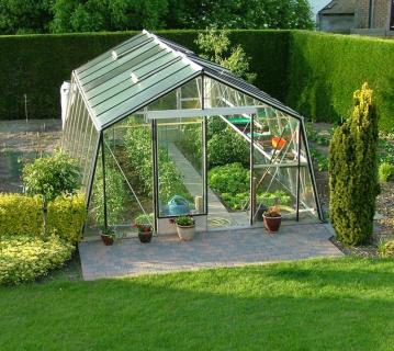 ACD Glas Gewächshaus S208H-B-RAL | 593x380x253 cm 