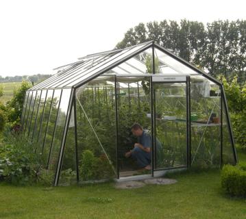 ACD Glas Gewächshaus S209H-B-RAL | 667x380x257 cm 