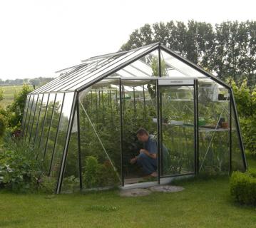 ACD Glas Gewächshaus S209H-B | Silber | 667x380x257 cm 