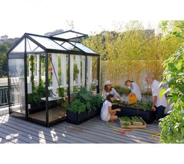 ACD Glas Gewächshaus Piccolo P04 RAL | Schwarz | 298x159x221 cm 